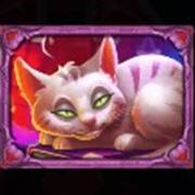 Witch Heart Megaways: Cat